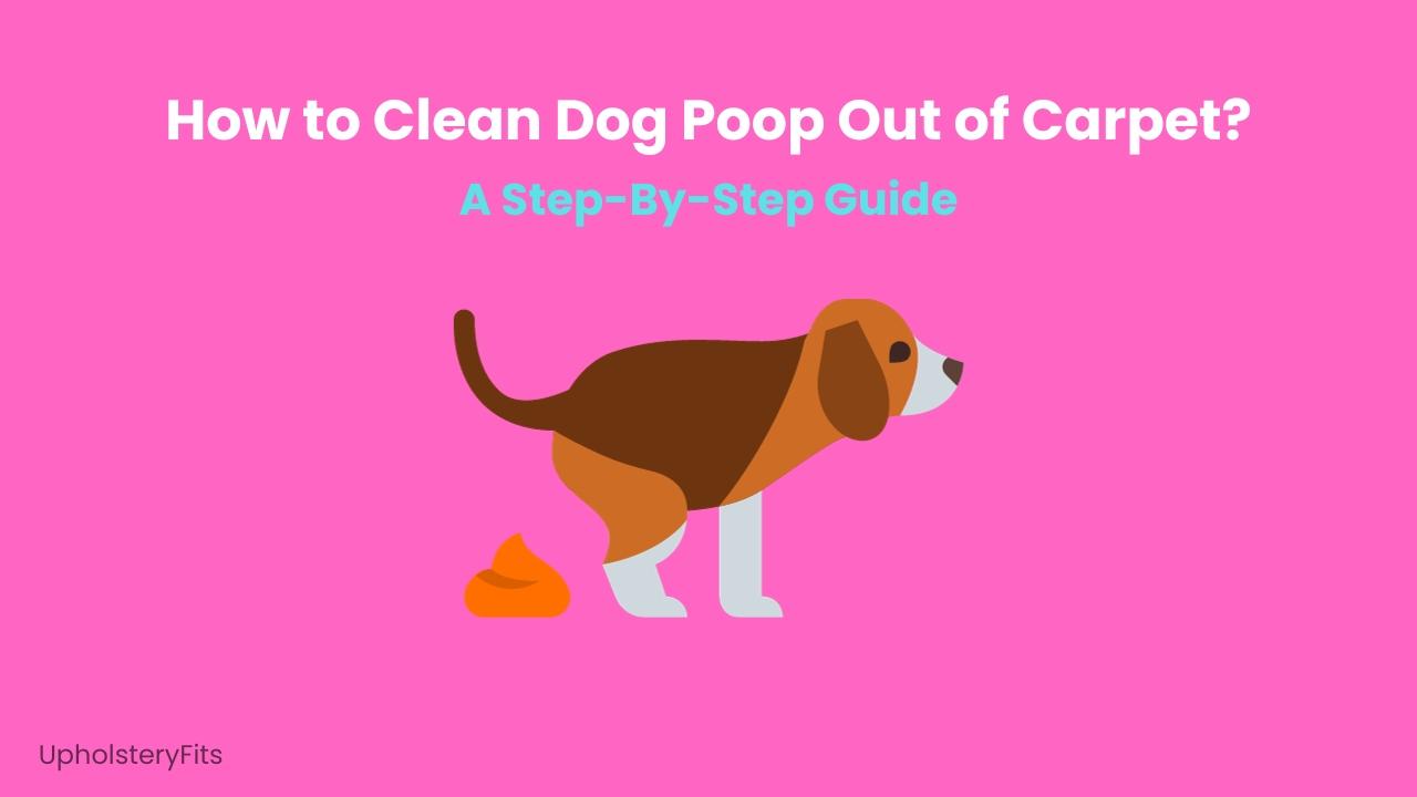 How to Clean Dog Poop Out of Carpet? (3 Simple Methods)